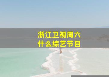 浙江卫视周六什么综艺节目