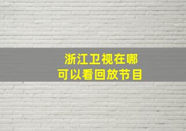 浙江卫视在哪可以看回放节目