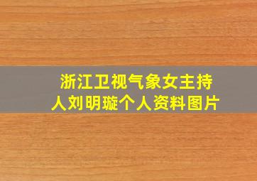 浙江卫视气象女主持人刘明璇个人资料图片