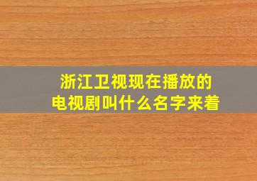 浙江卫视现在播放的电视剧叫什么名字来着