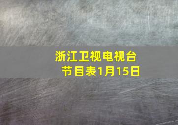 浙江卫视电视台节目表1月15日