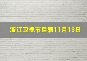 浙江卫视节目表11月13日