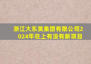 浙江大东吴集团有限公司2024年在上有没有新项目