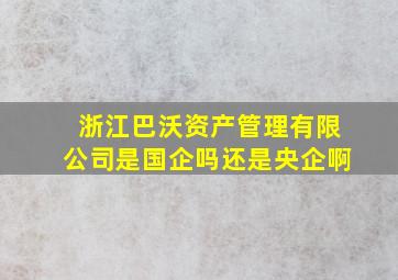 浙江巴沃资产管理有限公司是国企吗还是央企啊