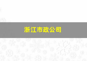 浙江市政公司