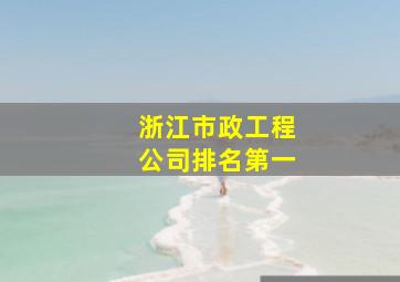 浙江市政工程公司排名第一