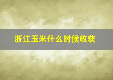 浙江玉米什么时候收获