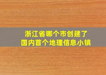 浙江省哪个市创建了国内首个地理信息小镇