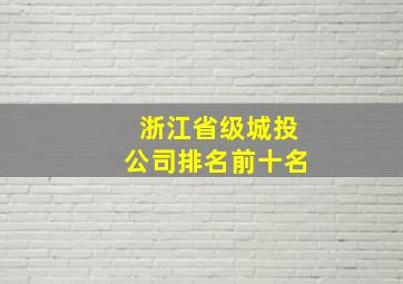 浙江省级城投公司排名前十名