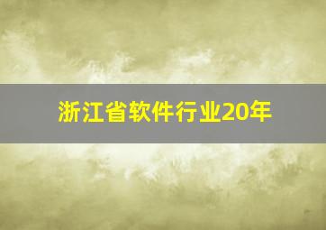 浙江省软件行业20年