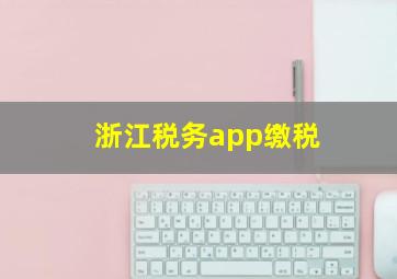 浙江税务app缴税