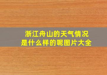 浙江舟山的天气情况是什么样的呢图片大全