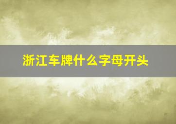 浙江车牌什么字母开头