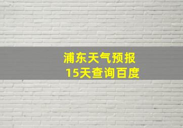 浦东天气预报15天查询百度