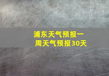 浦东天气预报一周天气预报30天