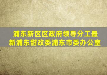 浦东新区区政府领导分工最新浦东甜改委浦东市委办公室