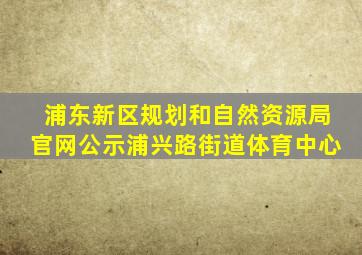 浦东新区规划和自然资源局官网公示浦兴路街道体育中心