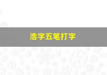 浩字五笔打字