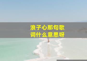 浪子心那句歌词什么意思呀