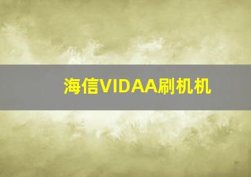 海信VIDAA刷机机