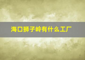 海口狮子岭有什么工厂