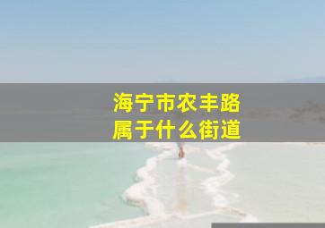 海宁市农丰路属于什么街道