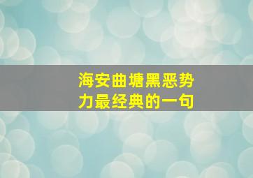 海安曲塘黑恶势力最经典的一句