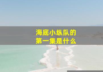 海底小纵队的第一集是什么