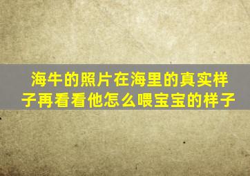 海牛的照片在海里的真实样子再看看他怎么喂宝宝的样子