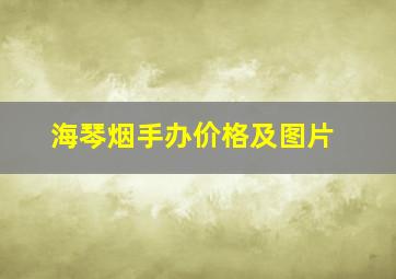 海琴烟手办价格及图片