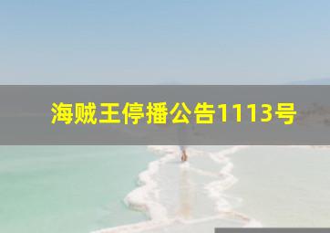 海贼王停播公告1113号