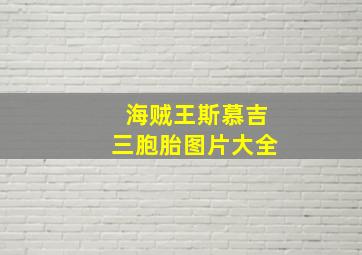 海贼王斯慕吉三胞胎图片大全