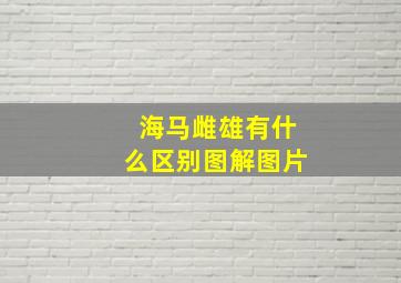 海马雌雄有什么区别图解图片