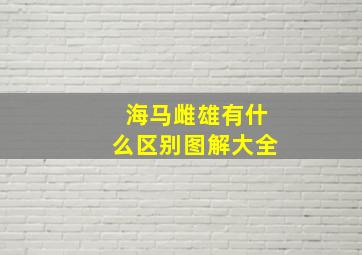 海马雌雄有什么区别图解大全