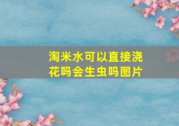 淘米水可以直接浇花吗会生虫吗图片