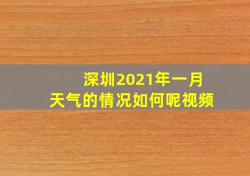 深圳2021年一月天气的情况如何呢视频