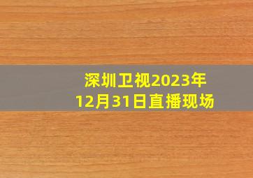 深圳卫视2023年12月31日直播现场