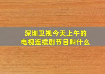 深圳卫视今天上午的电视连续剧节目叫什么