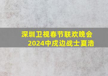 深圳卫视春节联欢晚会2024中戍边战士夏浩