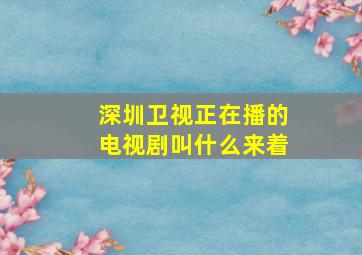 深圳卫视正在播的电视剧叫什么来着