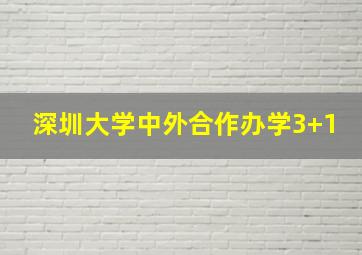 深圳大学中外合作办学3+1