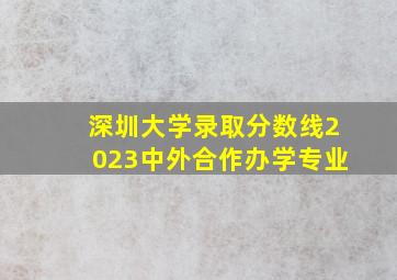 深圳大学录取分数线2023中外合作办学专业