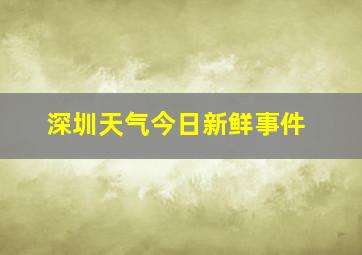 深圳天气今日新鲜事件