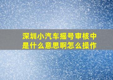 深圳小汽车摇号审核中是什么意思啊怎么操作