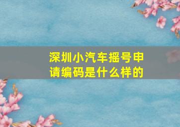 深圳小汽车摇号申请编码是什么样的