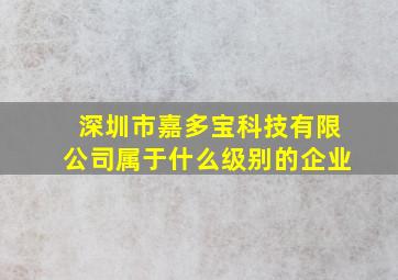 深圳市嘉多宝科技有限公司属于什么级别的企业