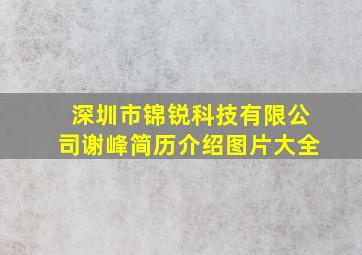 深圳市锦锐科技有限公司谢峰简历介绍图片大全