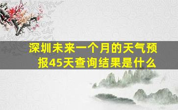 深圳未来一个月的天气预报45天查询结果是什么