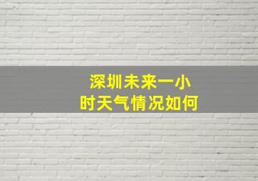 深圳未来一小时天气情况如何