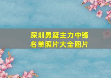 深圳男篮主力中锋名单照片大全图片